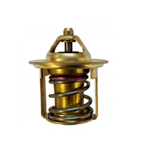 TERMOSTATO GENIE  Cod. 23473GT
