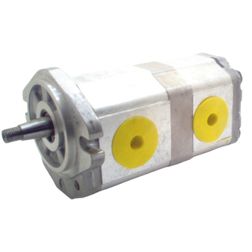 POMPA DOPPIA AD INGRANAGGI RENAULT Cod. PNN 17+11 D C046 SAP5G