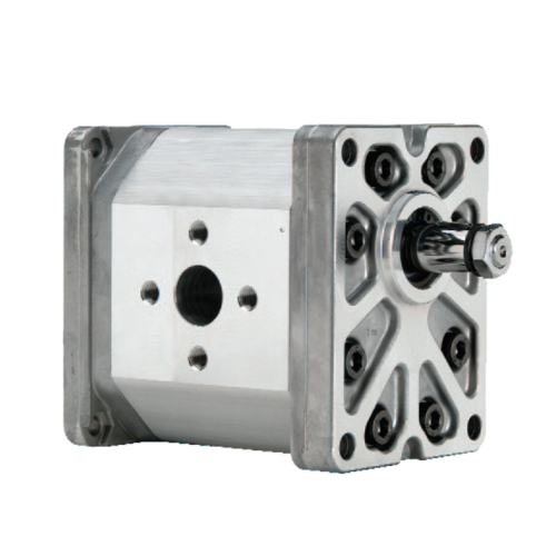 POMPA AD INGRANAGGI ESTERNI MARZOCCHI Cod. GHPA2-D-10